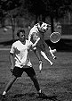 Sporthund